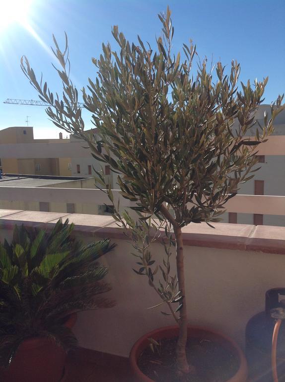 Villamari Apartment Alghero Eksteriør billede